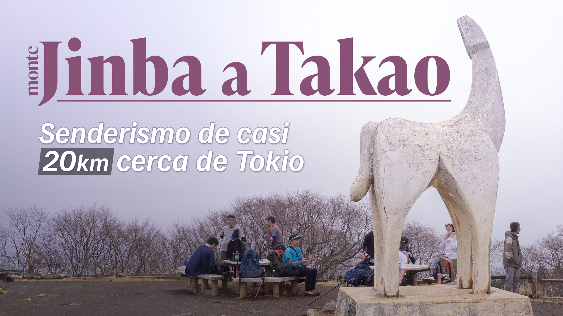 【Jinba a Takao】 Senderismo largo para conocer la naturaleza de Tokio y Kanagawa