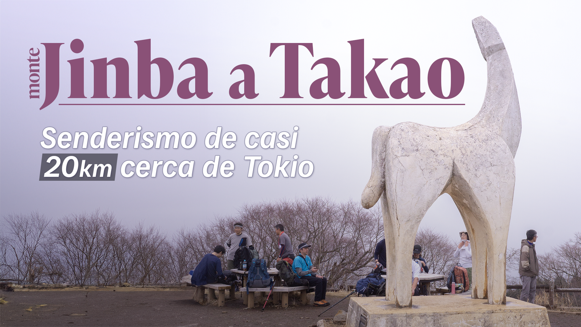 【Jinba a Takao】Senderismo largo para conocer la naturaleza de Tokio y Kanagawa