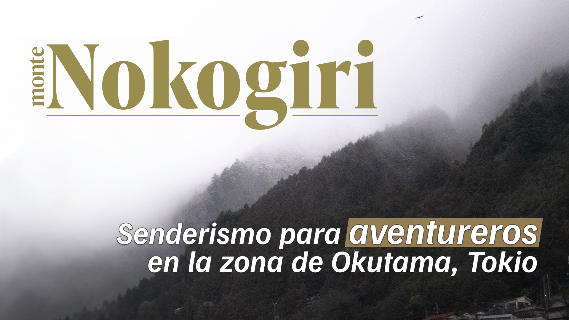 【Monte Nokogiri】 Senderismo para aventureros en la zona de Okutama, Tokio