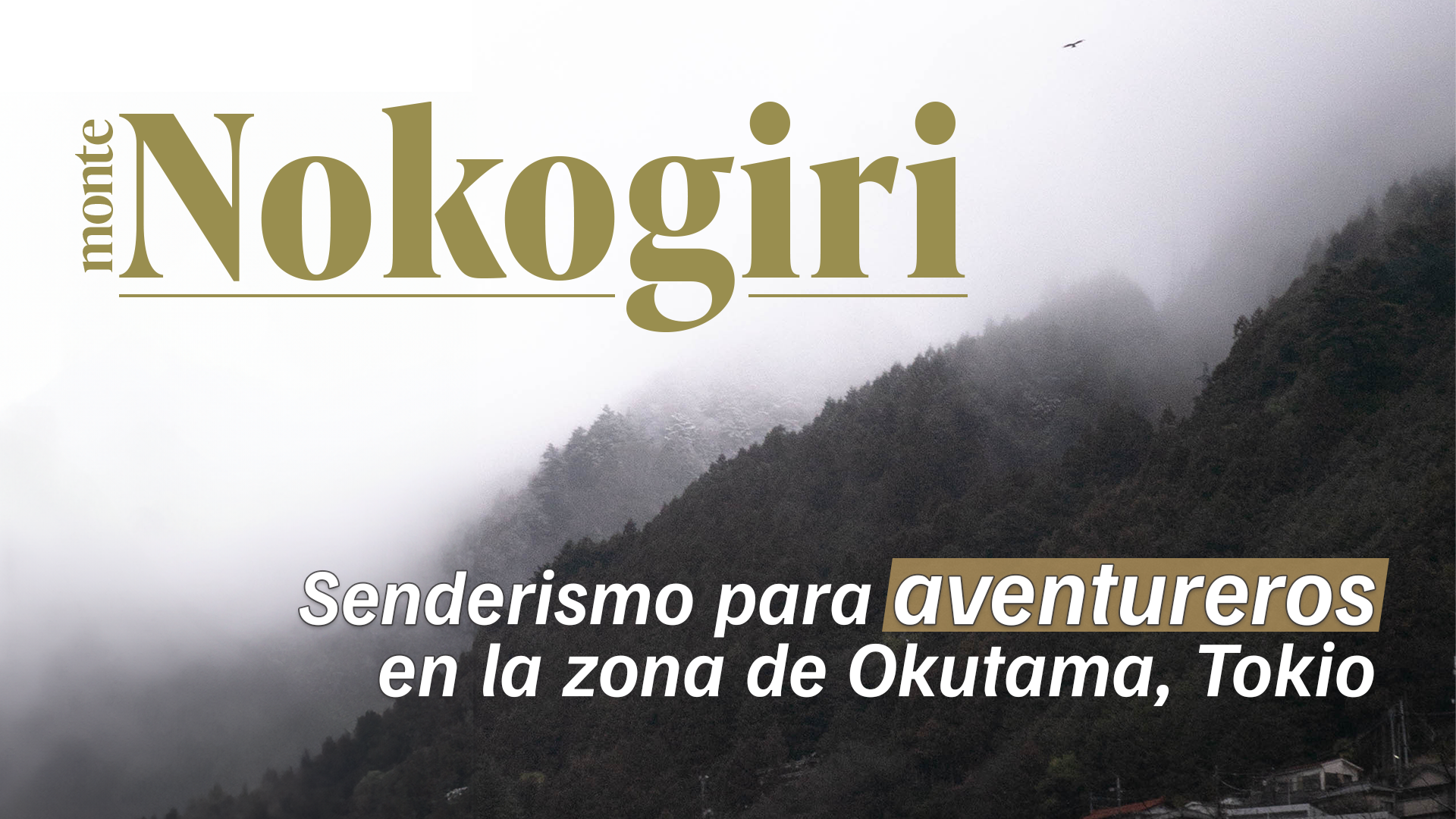 【Monte Nokogiri】Senderismo para aventureros en la zona de Okutama, Tokio